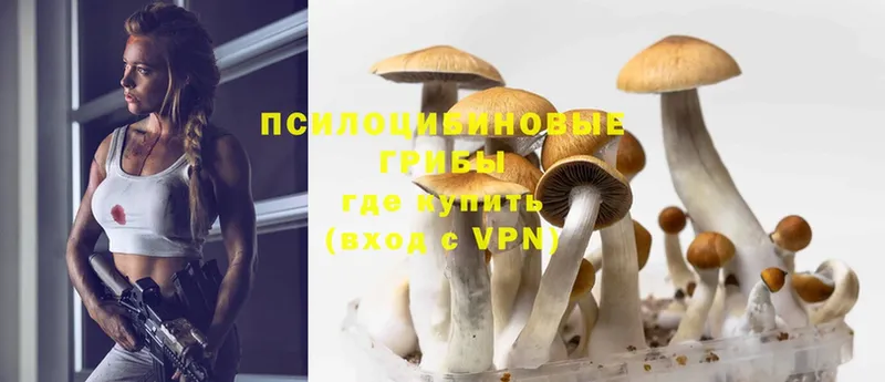 Псилоцибиновые грибы MAGIC MUSHROOMS  купить наркоту  Старая Купавна 